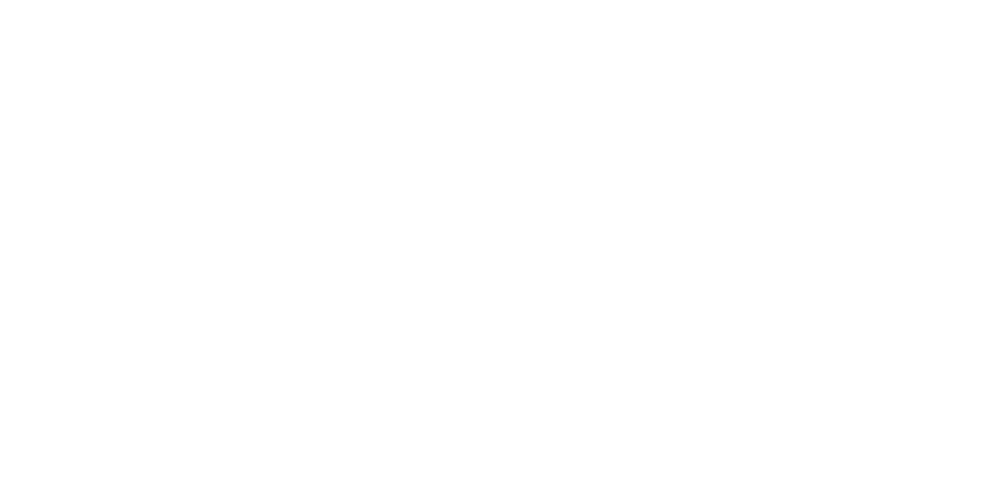 Magni Digital